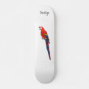 Buscar loro tablas de skate Ave tropical