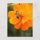 Buscar abeja de la miel postales Para ella
