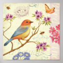 Buscar mariposa floral posters Animales