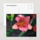 Buscar daylily postales Florecer