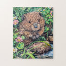 Buscar castor puzzles Agua