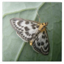 Buscar malla azulejos Naturaleza