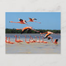 Buscar reserva de la biosfera Playa