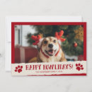 Buscar perritos tarjetas Vacaciones