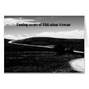 Buscar cólera postales Humor