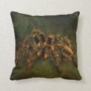 Buscar tarantula cojines Arácnido