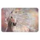 Buscar noble imanes Caballo