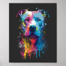 Buscar pitbull arte Colorido
