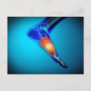 Buscar miembro humano Azul