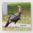 Buscar turkey relojes de pared Bird