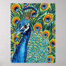 Buscar pavos posters Animales