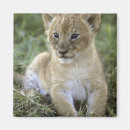 Buscar serengeti imanes Parque nacional