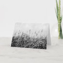 Buscar litoral postales Dunas de arena