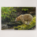 Buscar bosque blanco y negro puzzles Bosques