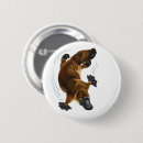 Buscar platypus chapas Animal