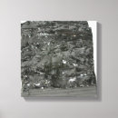 Buscar geología posters Carbón