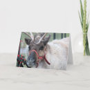 Buscar medio hombre tarjetas Navidades