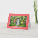 Buscar niña con el gato tarjetas Para ella