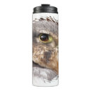 Buscar peregrino tazas Pájaro de presa