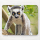 Buscar lemur alfombrillas de raton Bebé