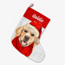 Buscar golden retriever calcetines navideños Vacaciones