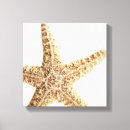 Buscar estrella de mar lienzos Animal