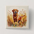 Buscar labrador retriever chapas Amantes de los perros