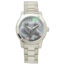 Buscar koala relojes Osos