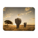 Buscar maasai mara imanes Parque nacional