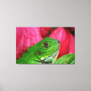 Buscar herp arte Lagarto