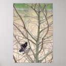 Buscar árbol de la vida posters Fotografía