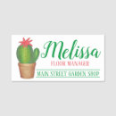 Buscar potable Cactus