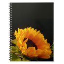 Buscar fondo amarillo libretas Jardín