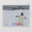 Buscar pingüino flyers Divertido
