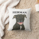 Buscar perro pitbull cojines Negro
