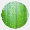Buscar gotas de agua pegatinas Textura