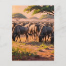 Buscar wildebeest postales Salvaje