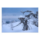 Buscar lapland arte Invierno