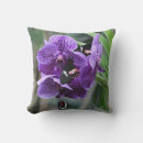 Buscar orquídea púrpura cojines Mariposa