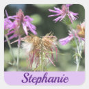 Buscar wildflowers pegatinas Verano