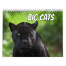 Buscar del gato calendarios 2026