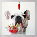 Buscar partes del cuerpo posters Cierre