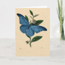 Buscar schmetterlinge Azul
