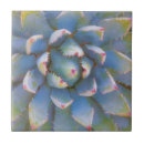 Buscar cierre azulejos Rf