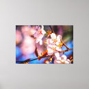 Buscar sakura lienzos Floral