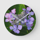 Buscar hydrangea purpura arte Para todos