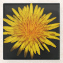 Buscar dandelion posavasos 2 ª escoria