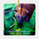 Buscar pozo adornos Adorable