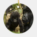 Buscar gorilas adornos África