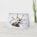 Buscar english springer spaniel tarjetas Perro